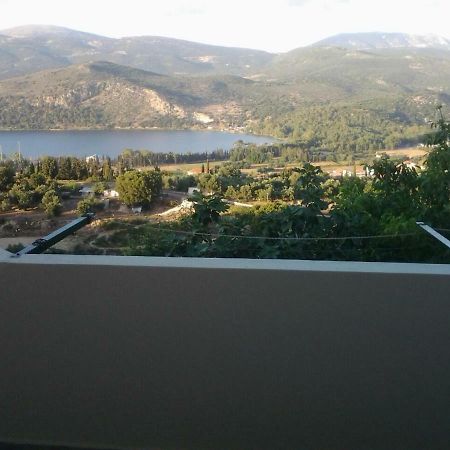 Darya Apartments Argostoli (Kefalonia) Exterior foto